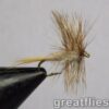1 dozen (12) - Gray Fox - Image 3