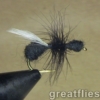 1 dozen (12) - Flying Black Ant - Image 3